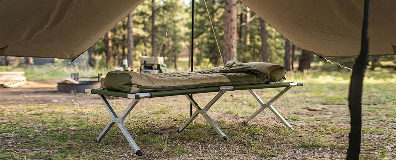 أسرة الأطفال